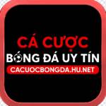 Cá cược bóng đá Profile Picture