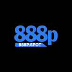 888P spot Profile Picture