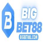 Bigbet88l com Profile Picture