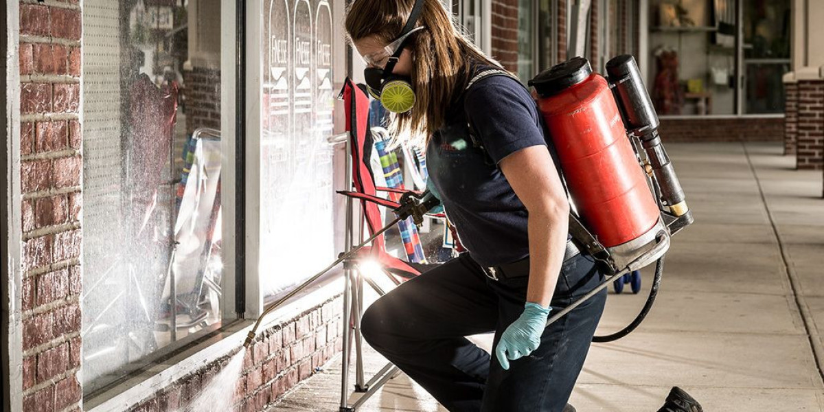 Finding the Best Local Pest Control Supply Store for Real Results