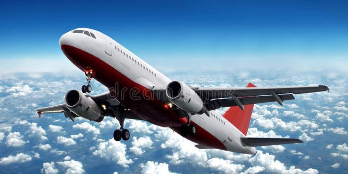 The Ultimate Guide to Family-Friendly Flighta