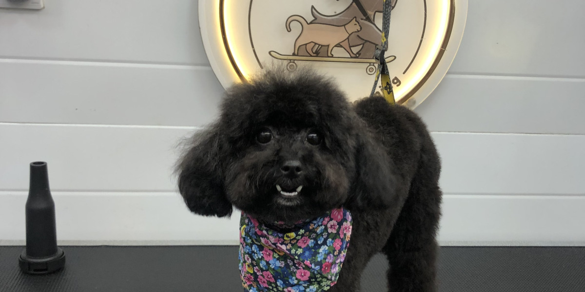 The Rise of Mobile Pet Grooming Services — Convenience for Busy Pet Parents