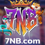 7NB Plataforma de Jogos Profile Picture