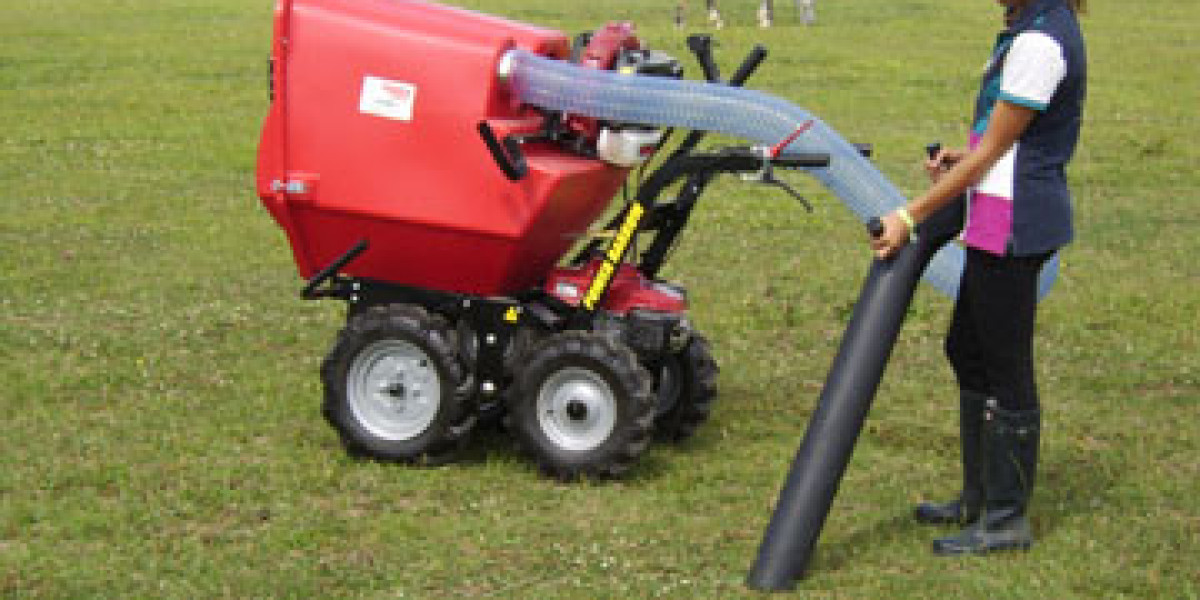 Pooper Scooper North Las Vegas: Professional Pet Waste Removal You Can Count On