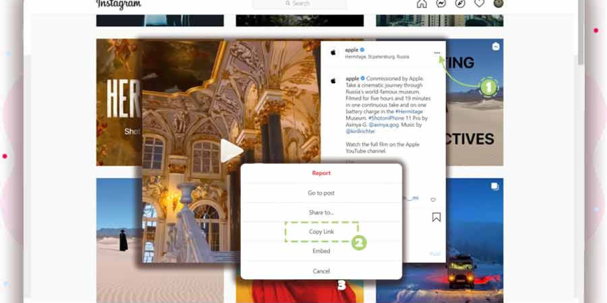 Download Instagram Videos and Reels for Entertainment Purposes Only