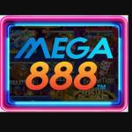 Dohistory Dohistory Profile Picture