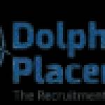 dolphinplacement Profile Picture