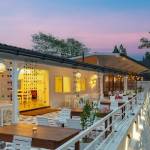 Foresta Cafe Profile Picture