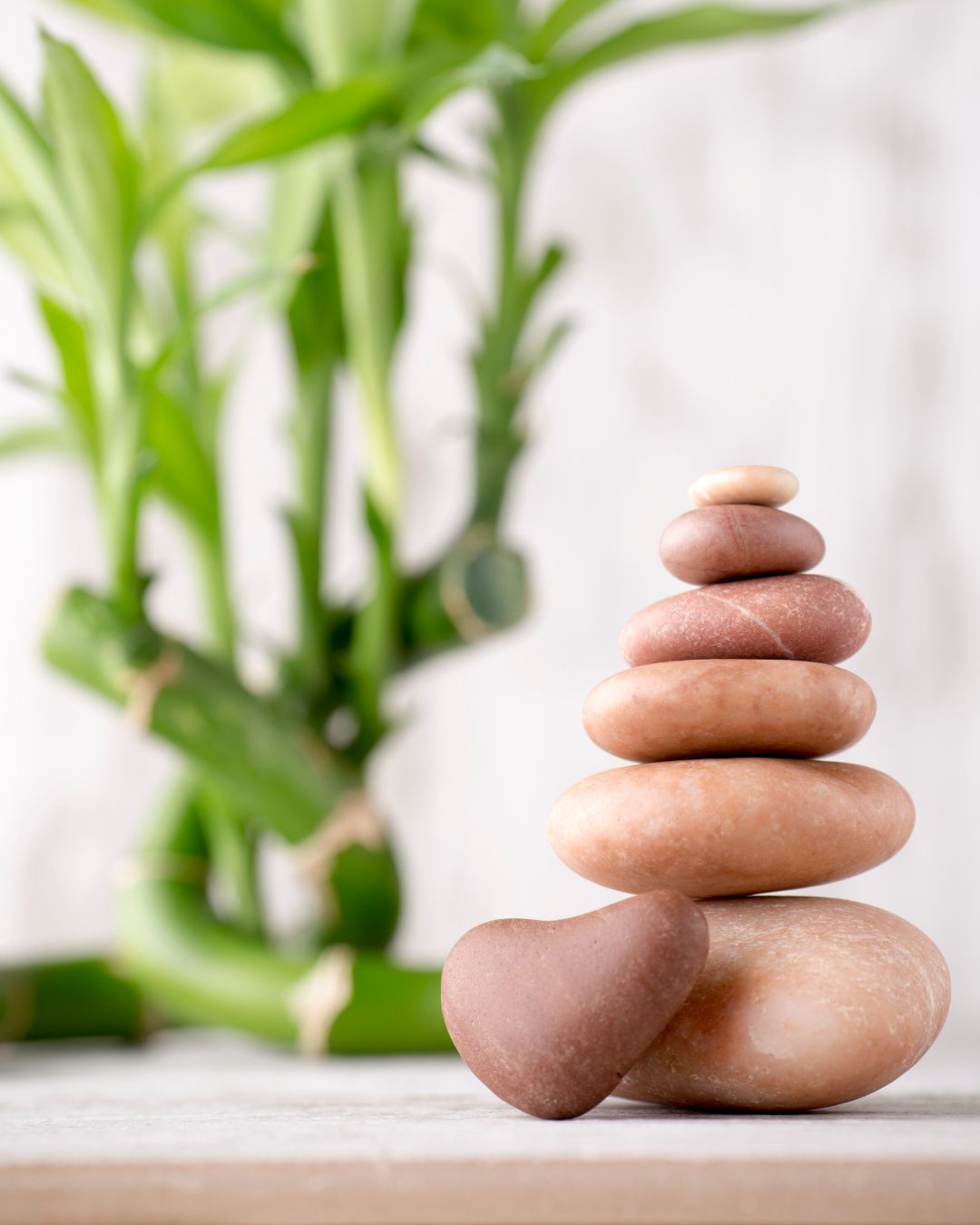 Body Massage, Facial & Head Spa in Singapore | Indulgelabs