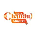 Astro Chandu Shastri Profile Picture
