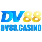 Dv88 casino Profile Picture