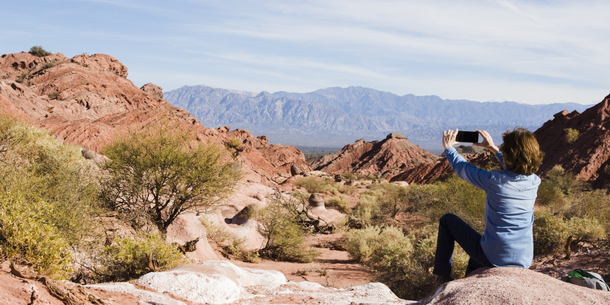 What Makes a Cape Town Safari Tour a Must-Do Adventure for Wildlife Lovers?