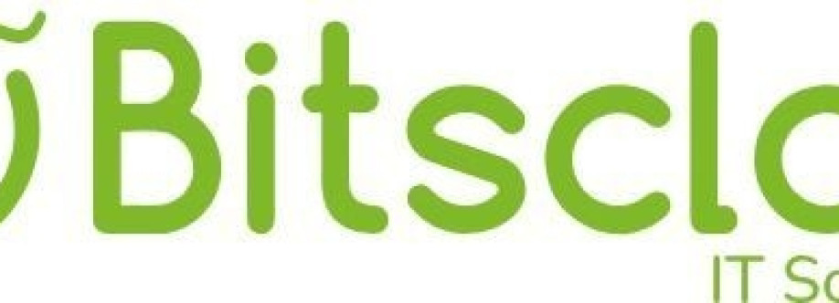 Bitsclan IT Solutions Cover Image