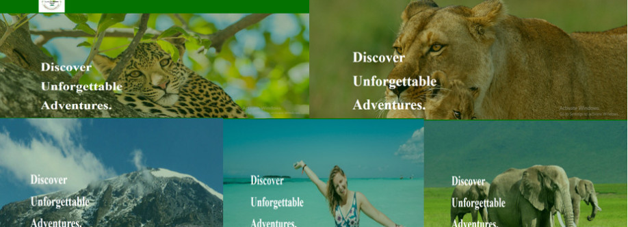 Kilimanjaro Economy Safari Cover Image