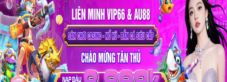 Vip66ny com Cover Image