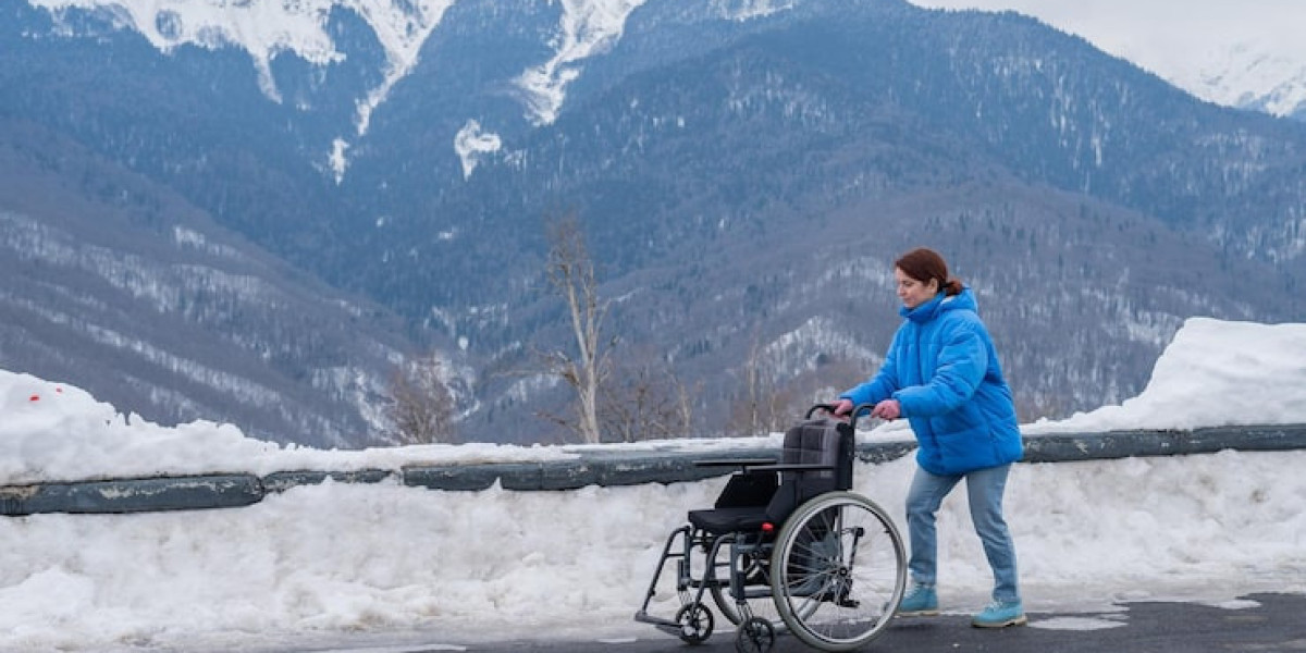 From Skyscraping Cities to Rugged Peaks: A Family Wheelchair Journey