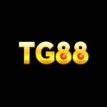 Tg88 sale Profile Picture