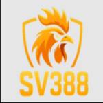 Sv388vm com Profile Picture