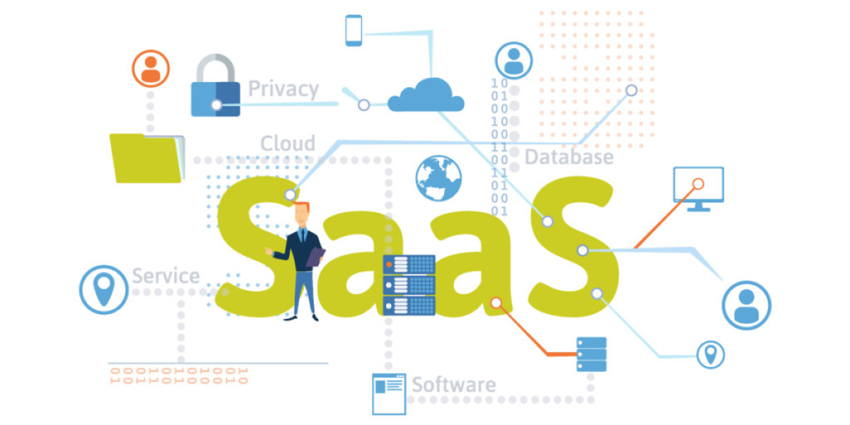Benefits of Working With a Professional SaaS Solutions Provider