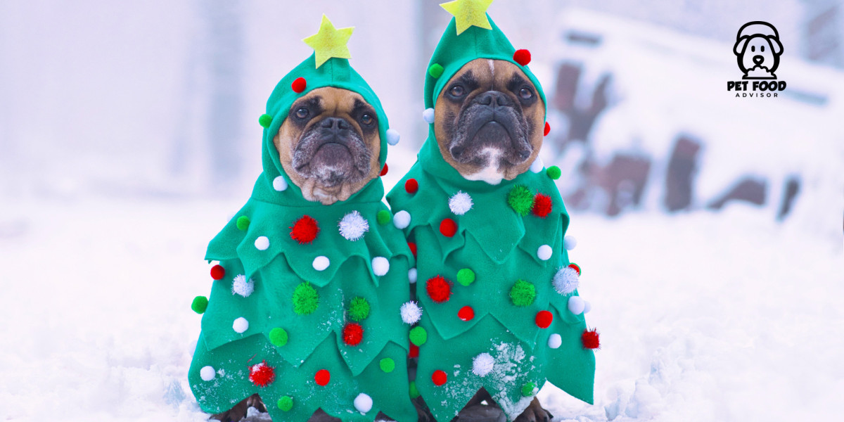 A Smart New Year Blueprint for Lifelong Dog Health