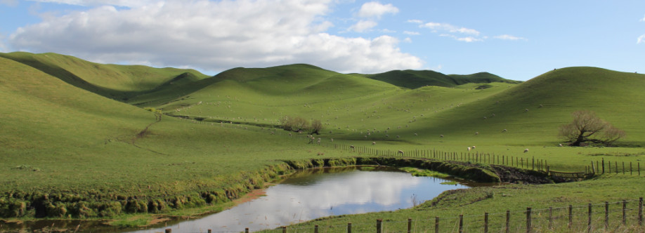 Tours New zealand Cover Image
