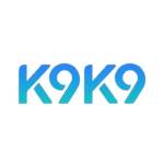 K9K98 Top Profile Picture