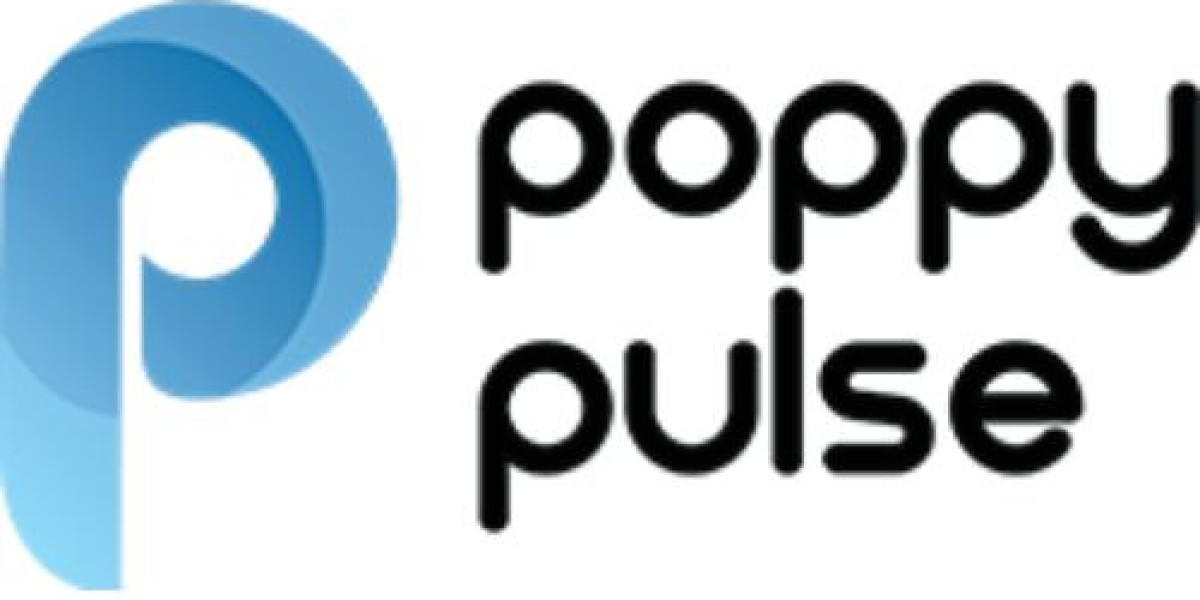 Building High-Performance Shopify Stores in Delhi with Poppy Pulse