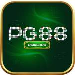 PG88 boo Profile Picture