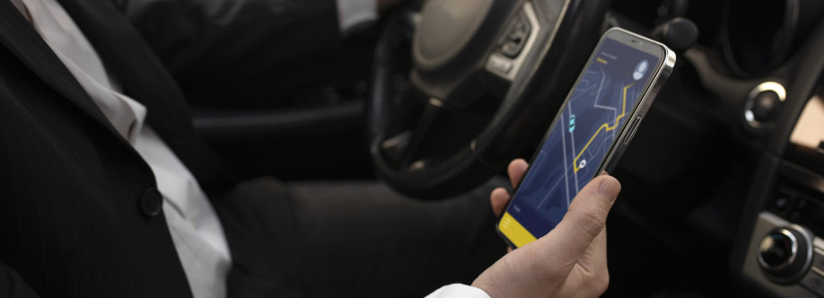 Vroom Trans Cover Image