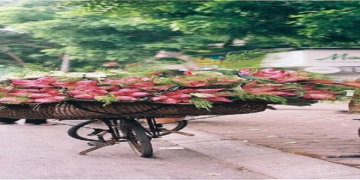 Discovering Elegance Through Scent and Luxury Living