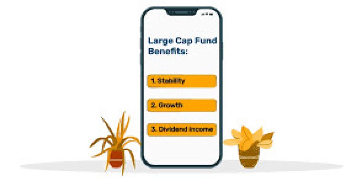 Large Cap Fund: Stability Meets Growth