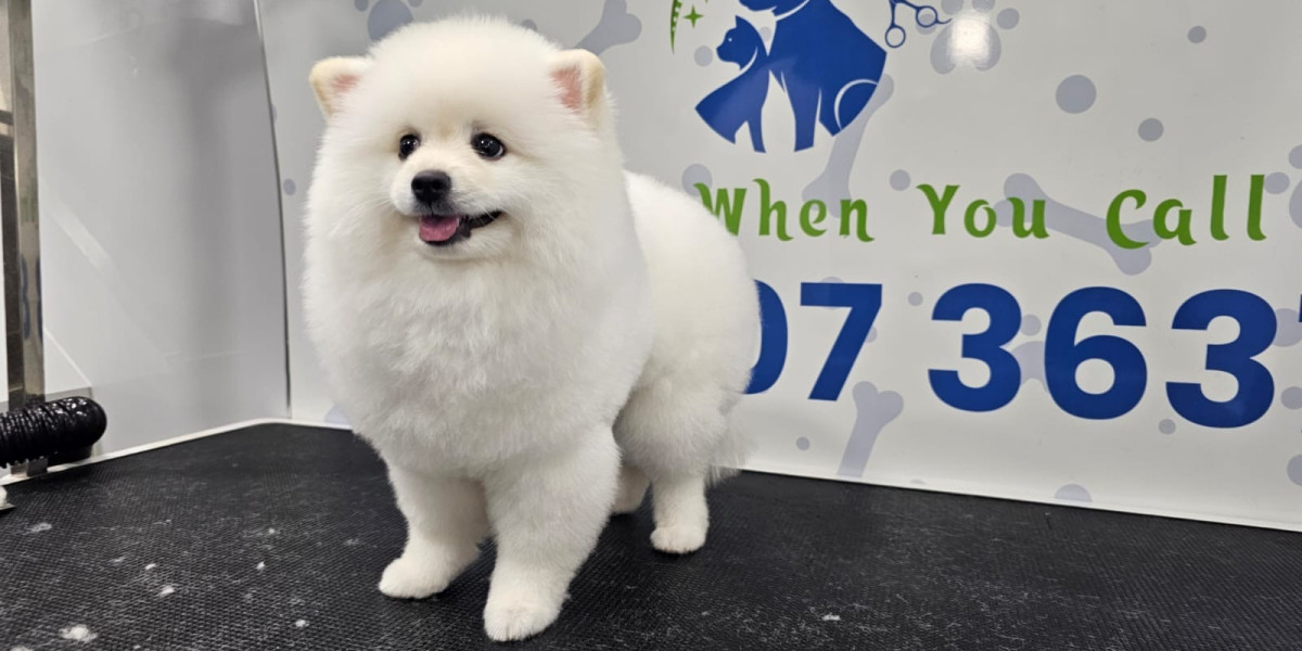 Complete Pet Grooming Standards for Dogs and Cats Across Dubai