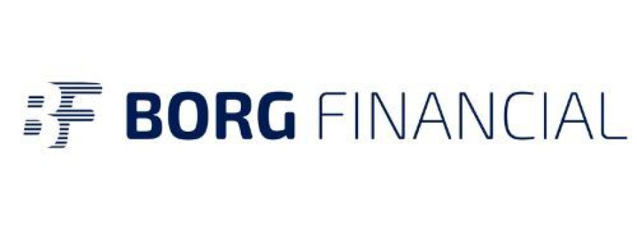 Borg Financial Cover Image