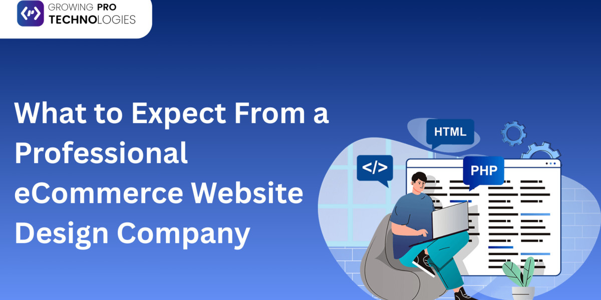 What to Expect From a Professional eCommerce Website Design Company