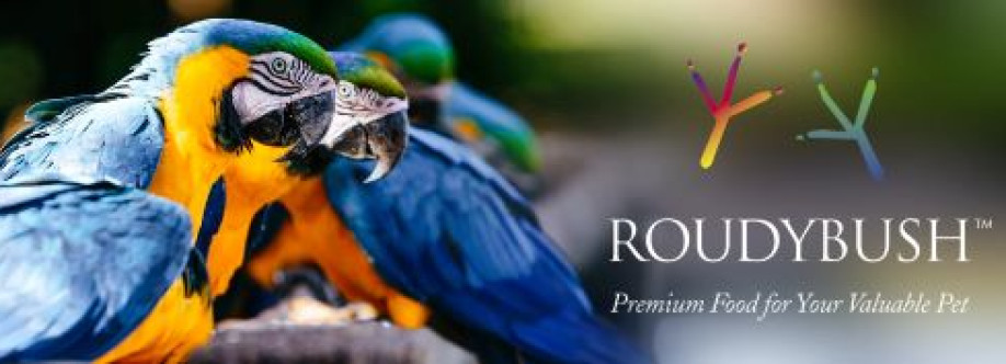 Birdie Boutique Cover Image