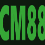 Vân Anh Profile Picture