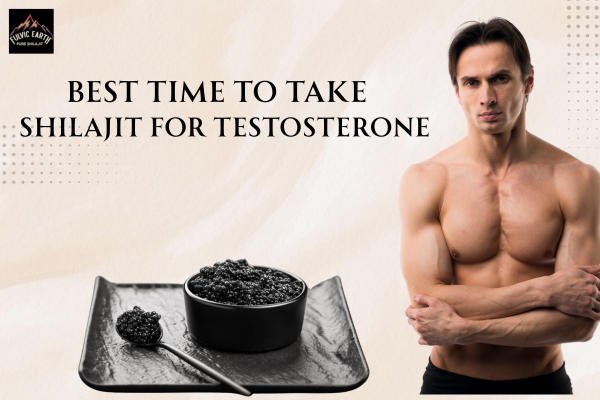 Best Time to Take Shilajit for Testosterone: Morning vs Night Guide