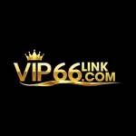 Vip66link Com Profile Picture
