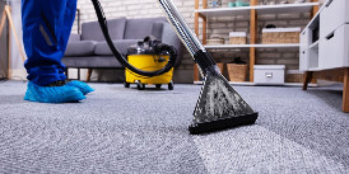 From Carpet Cleaning to Water Damage Restoration: Toledo’s Sparkling Clean Solution