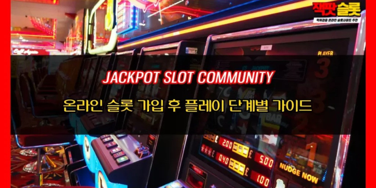 온라인 슬롯 플랫폼 정보 환경과 신뢰성에 대한 심층 탐구