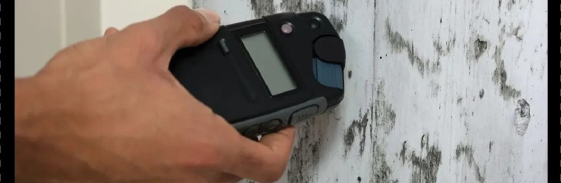 Mould Medico Cover Image