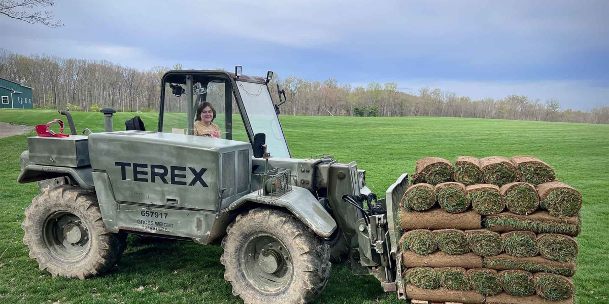 Lush, Durable Lawns: Your Complete Guide to Choosing a Sod Farm in Arlington