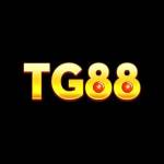 Tg88 bet Profile Picture