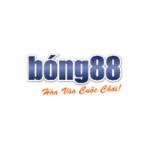 Bong88 lipaugmentation Profile Picture