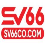 sv66co com Profile Picture