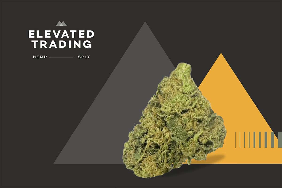 THCa Flower Wholesale - Elevated Trading