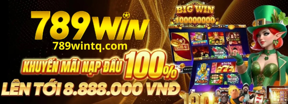 789Wintq com Cover Image