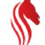 Stampede Auto Profile Picture