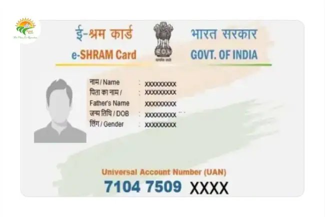 E Shram Card Status Check एक क्लिक में पूरी जानकारी