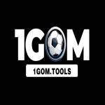 1Gom tools Profile Picture